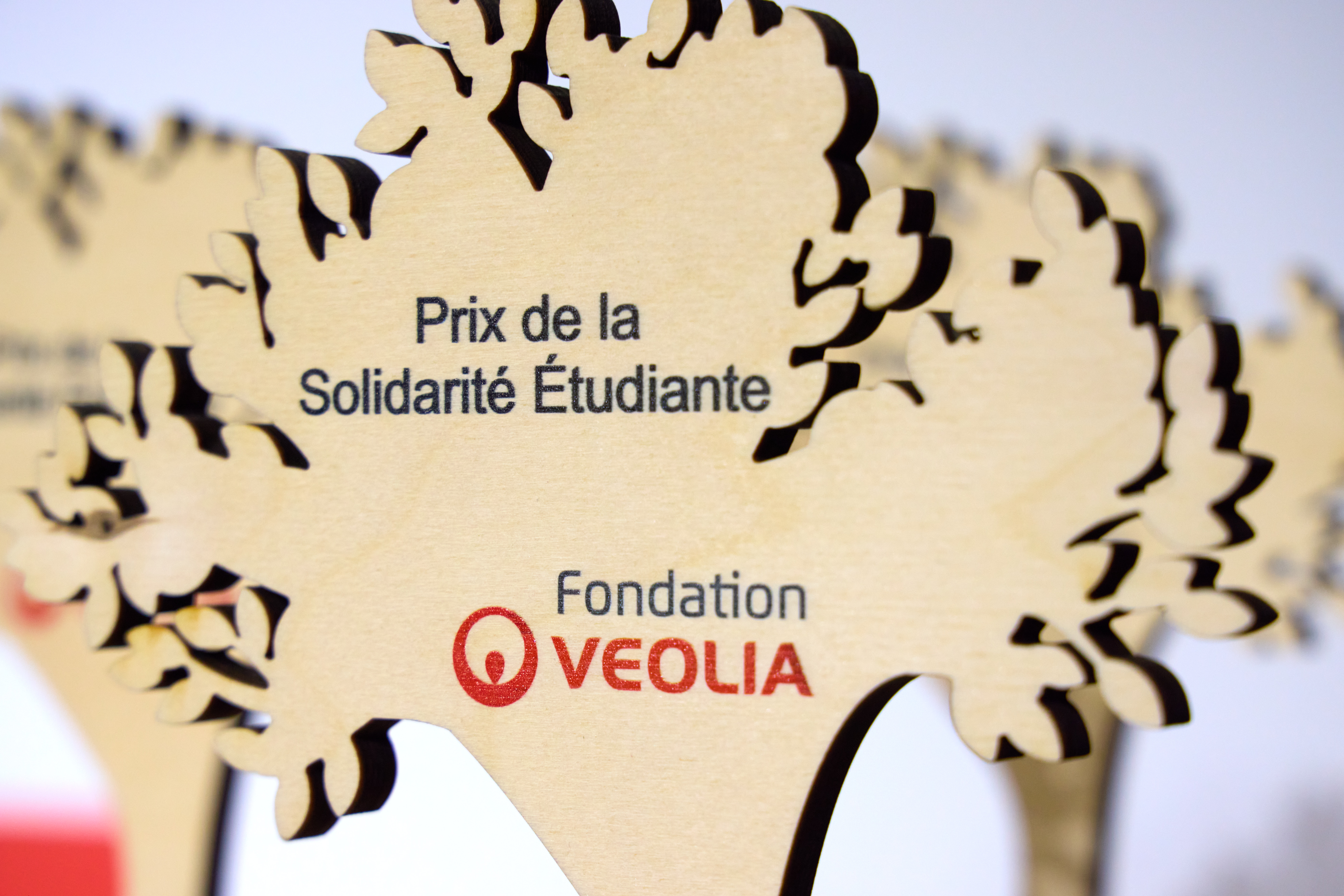 Prix de la Solidarité Étudiante — Avenir Vert Solidaire